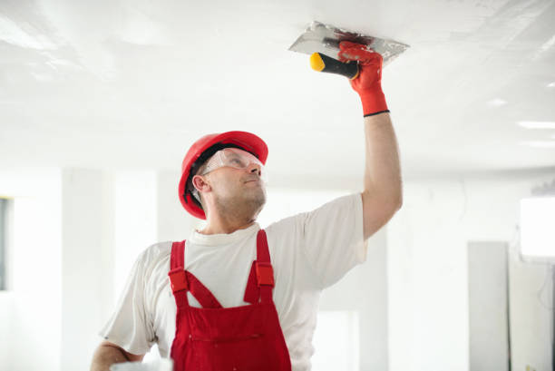 Best Residential Painting  in Allison, IA