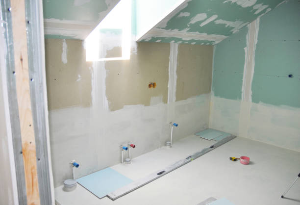 Best Drywall Sanding and Smoothing  in Allison, IA