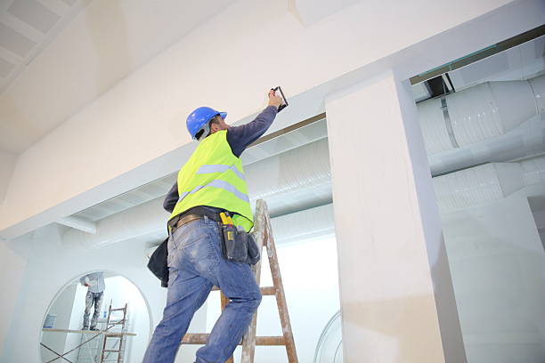 Best Fire-Damaged Drywall Repair  in Allison, IA