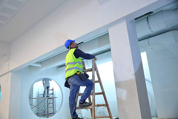 Best Commercial Painting  in Allison, IA